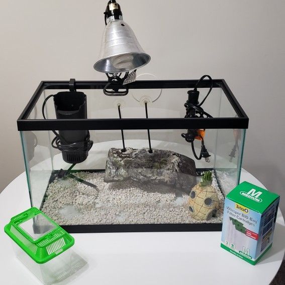 Full Setup For Pet Turtle w/ Free Food