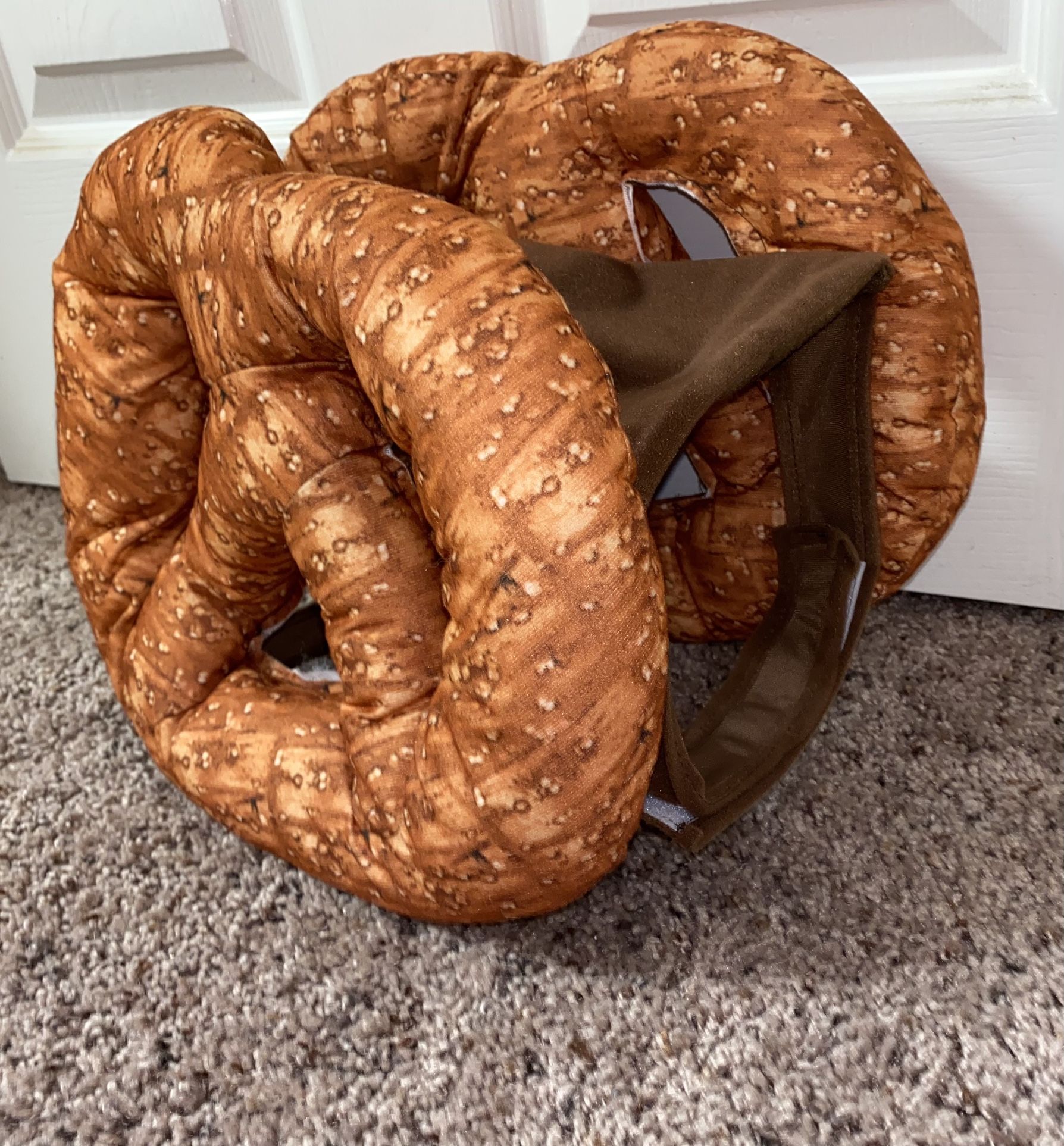 Halloween Pet Pretzel Costume