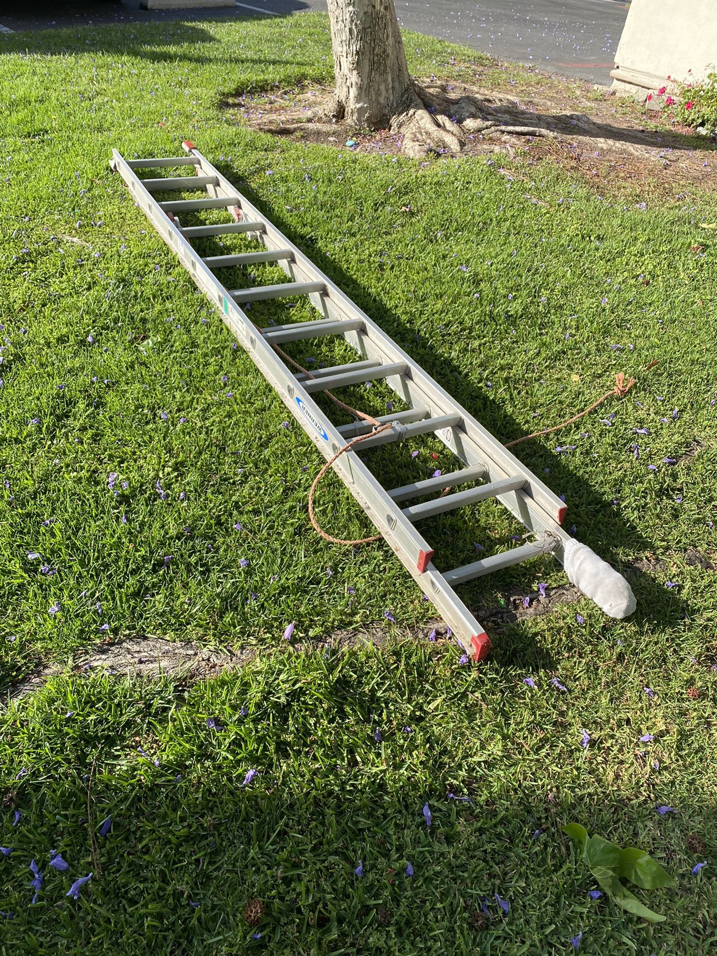 Long Ladder
