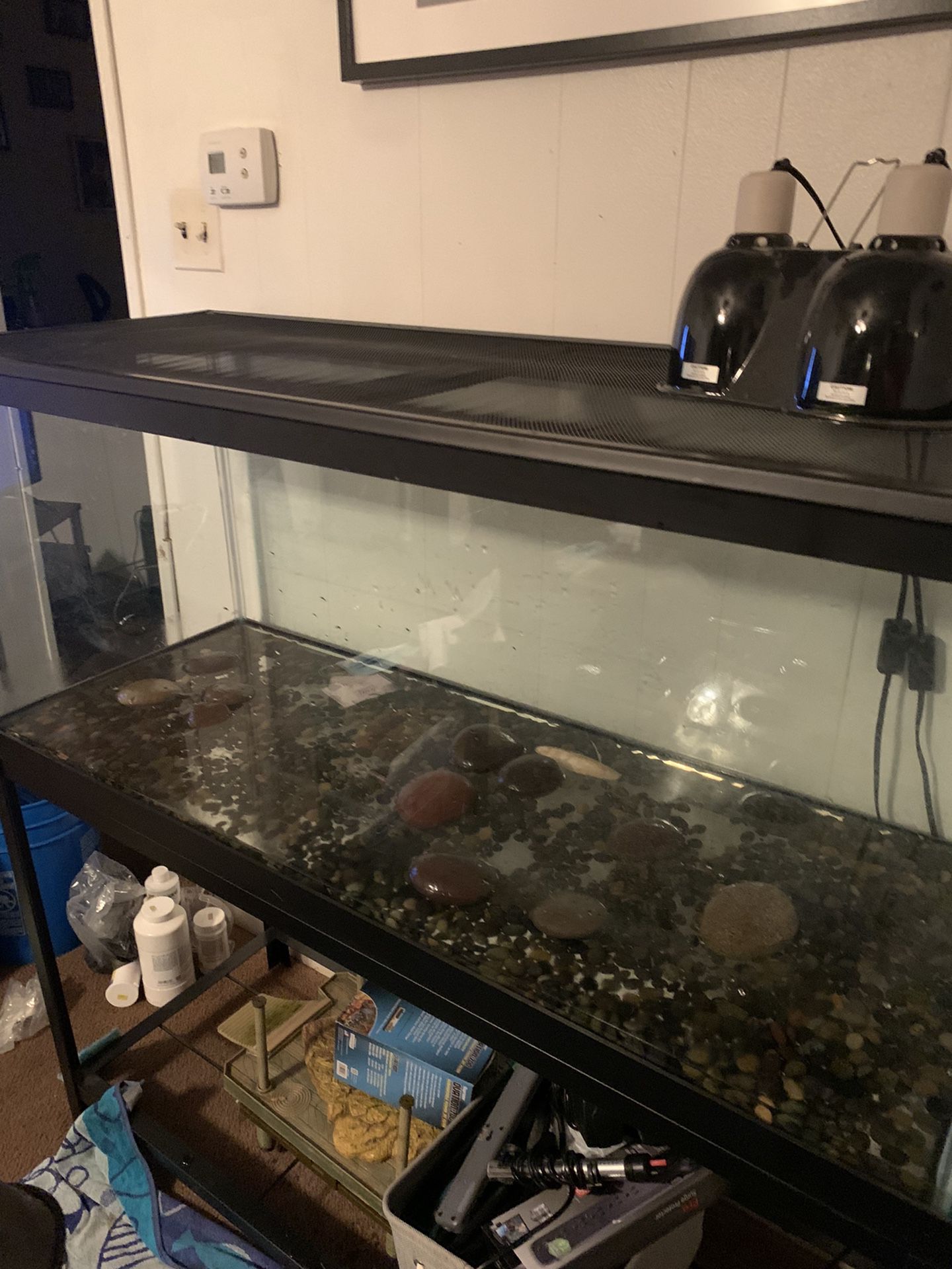 75 Gallon Tank, Stand, Lid And Lights