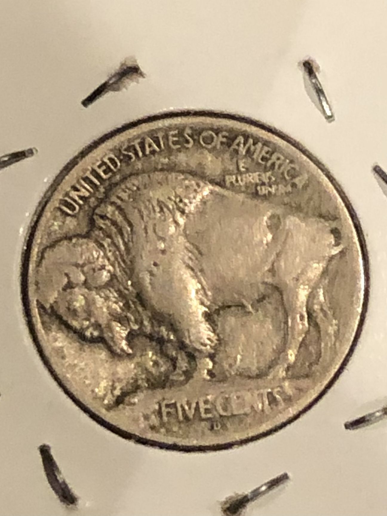 Buffalo Nickel Type 1 -1913 D