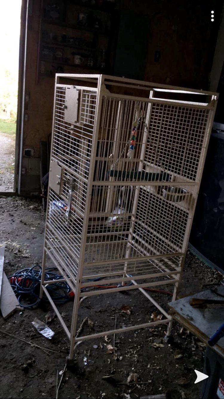 Huge nice bird cage with toys and food bowls we got the cage brand new for 500 hundred