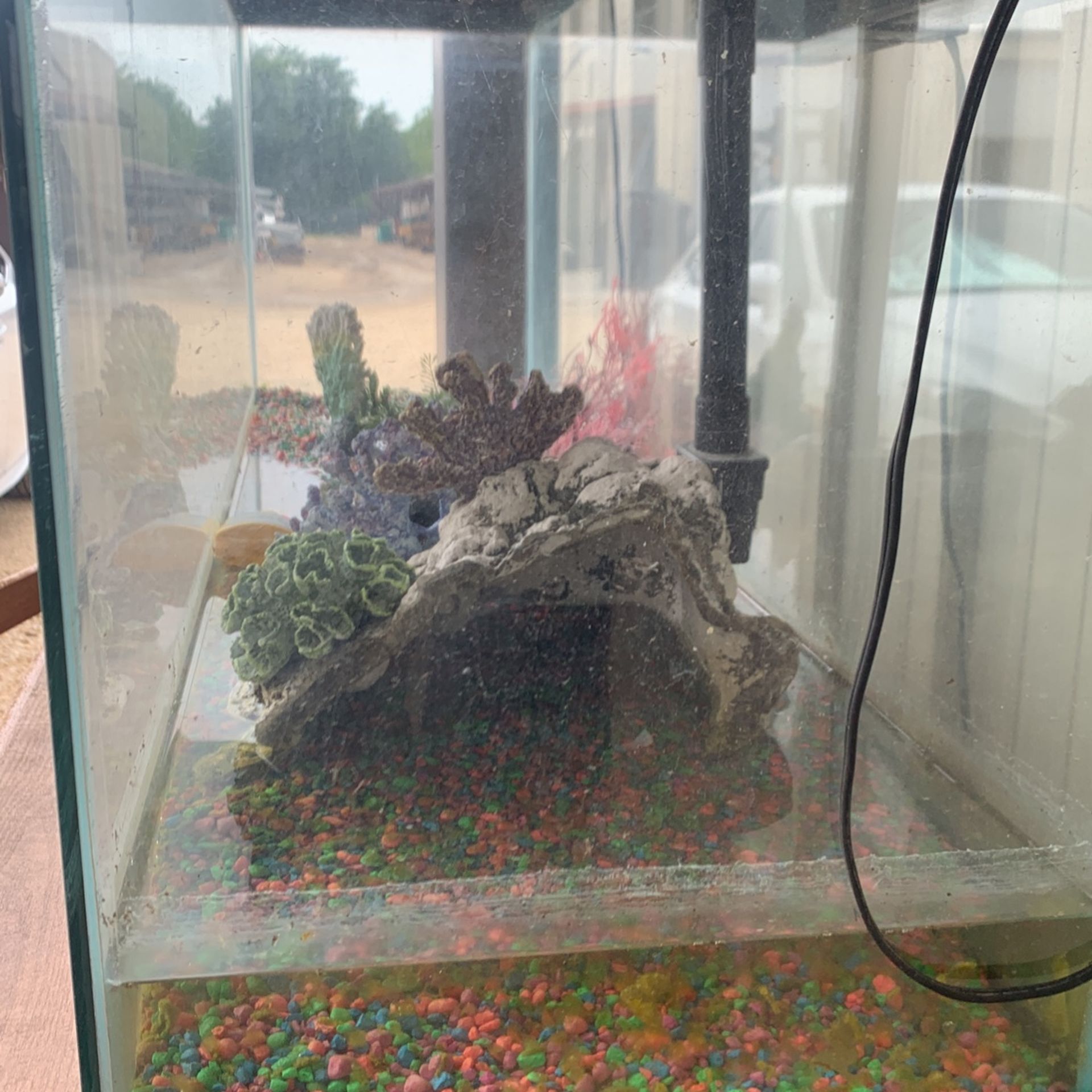 Fish Tank