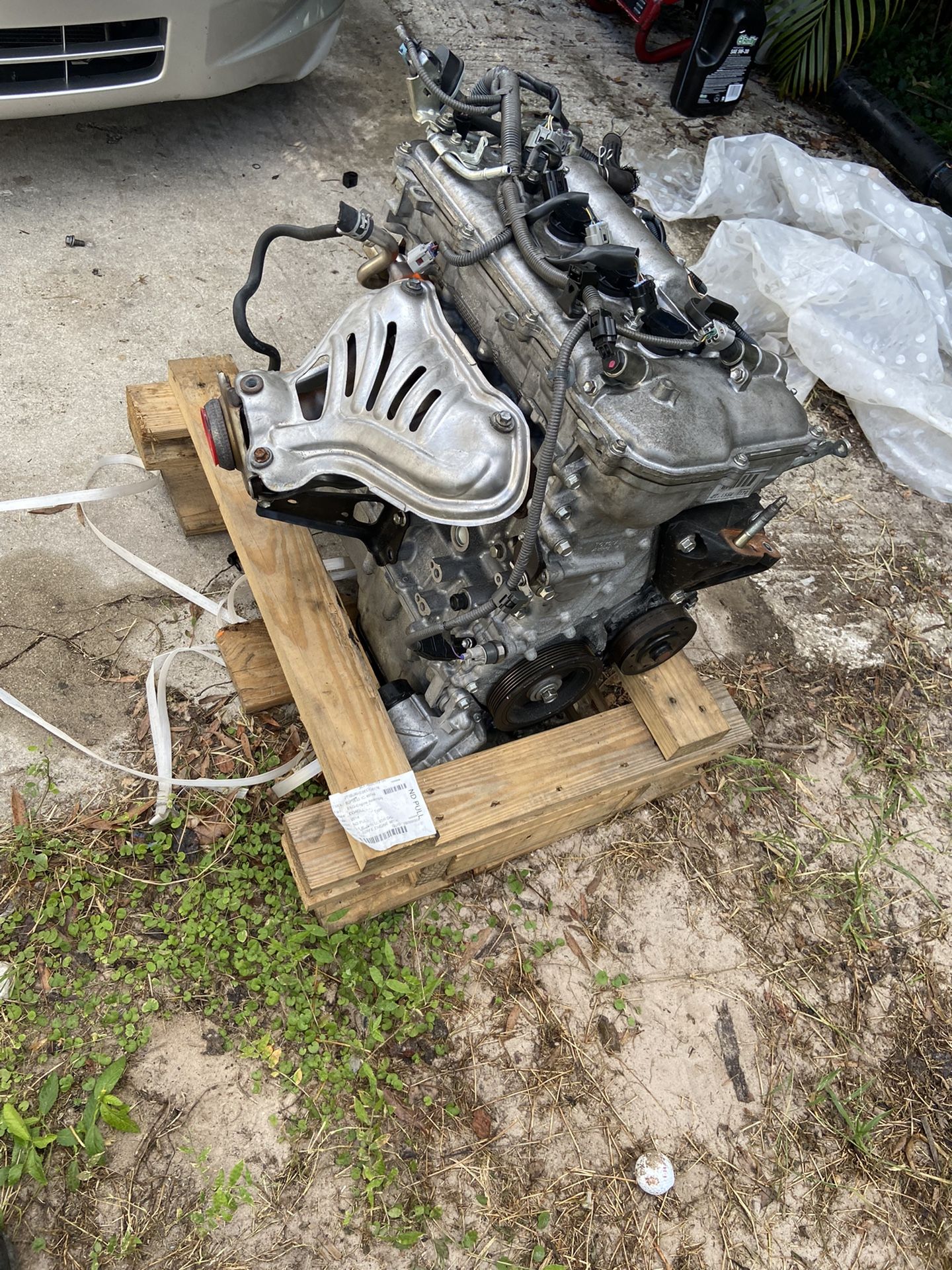 Motor