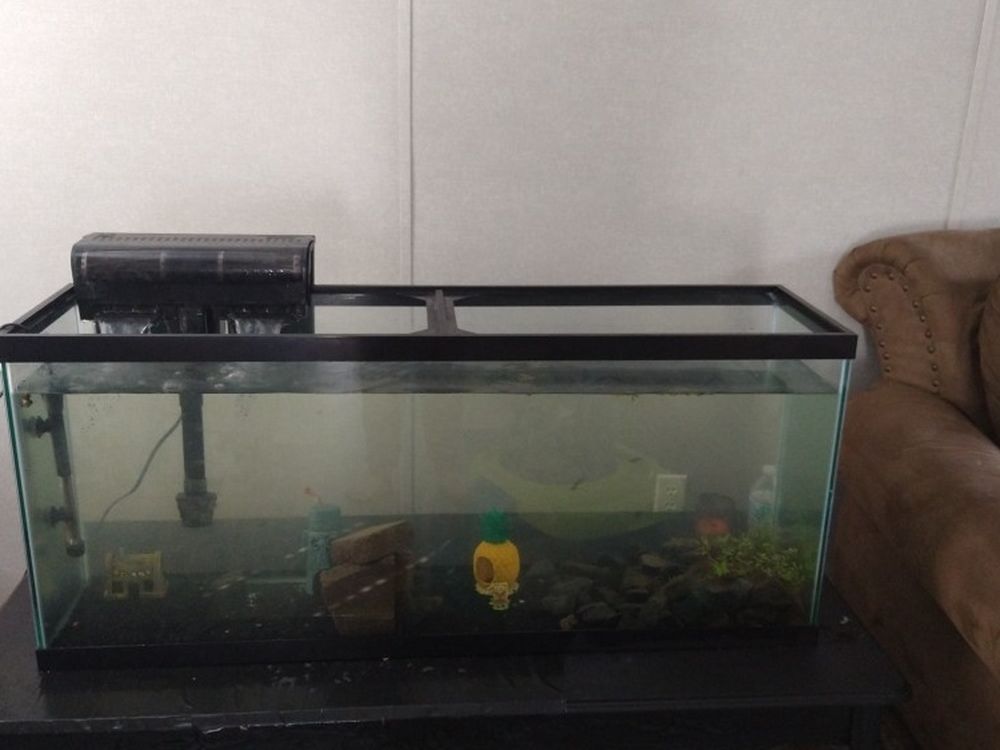 Fish Tank