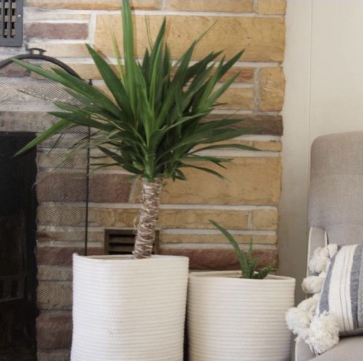 Set of 2 Ecofriendly Planters or Storage Baskets 10x10” and 12x12”