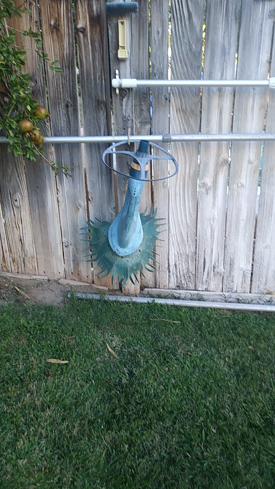 Barracuda Pool creepy crawly for Sale in Victorville, CA OfferUp