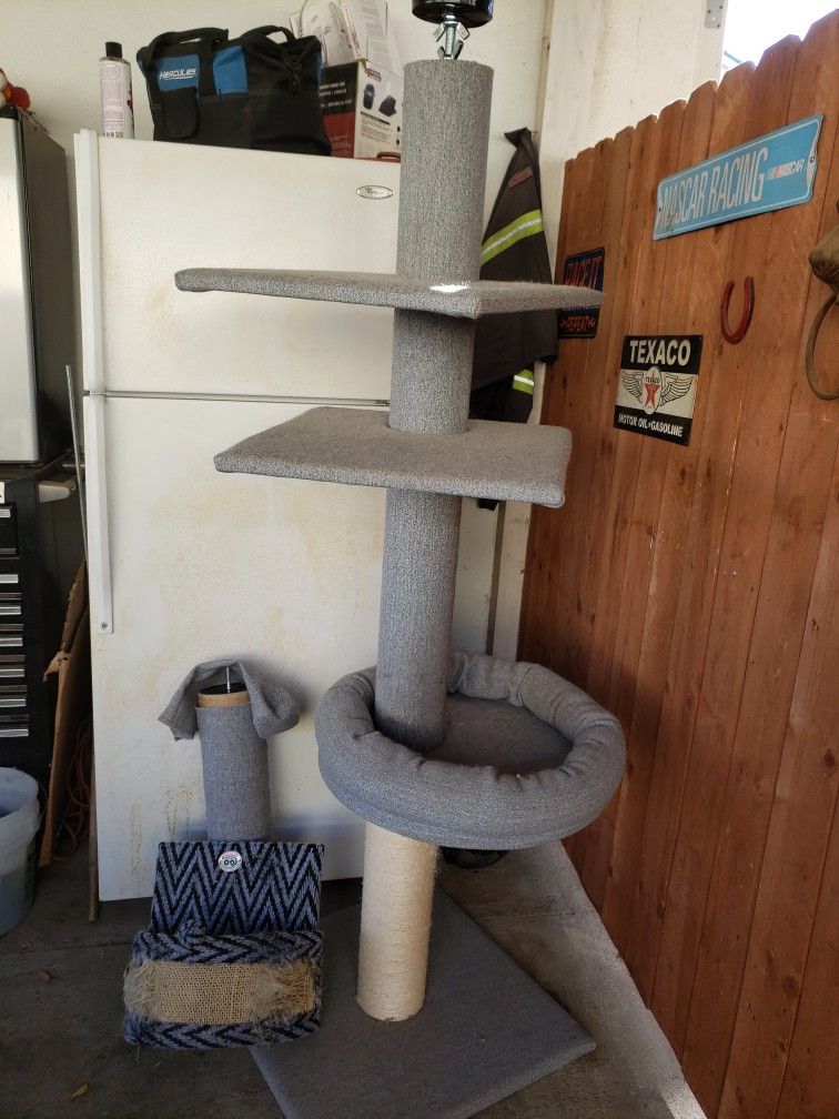 Trepador Para Gatos Se Puede Aser Differences Niveles