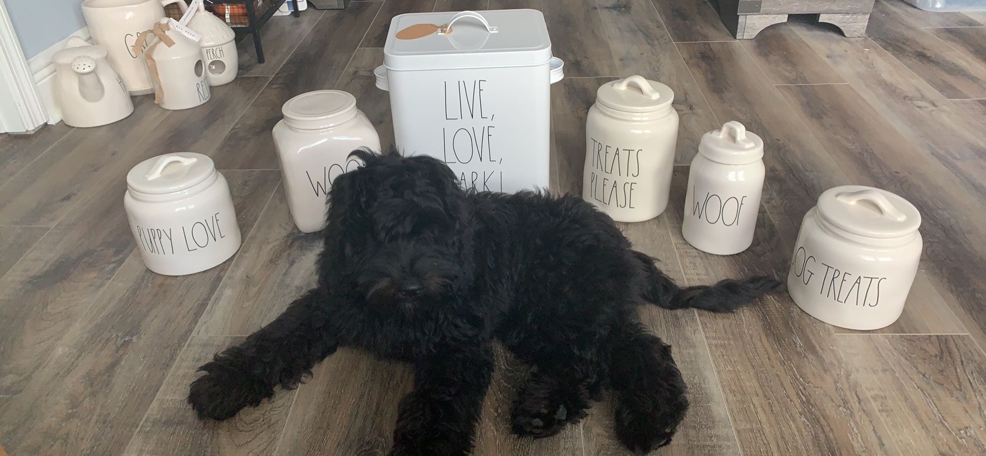 Rae Dunn doggy canisters