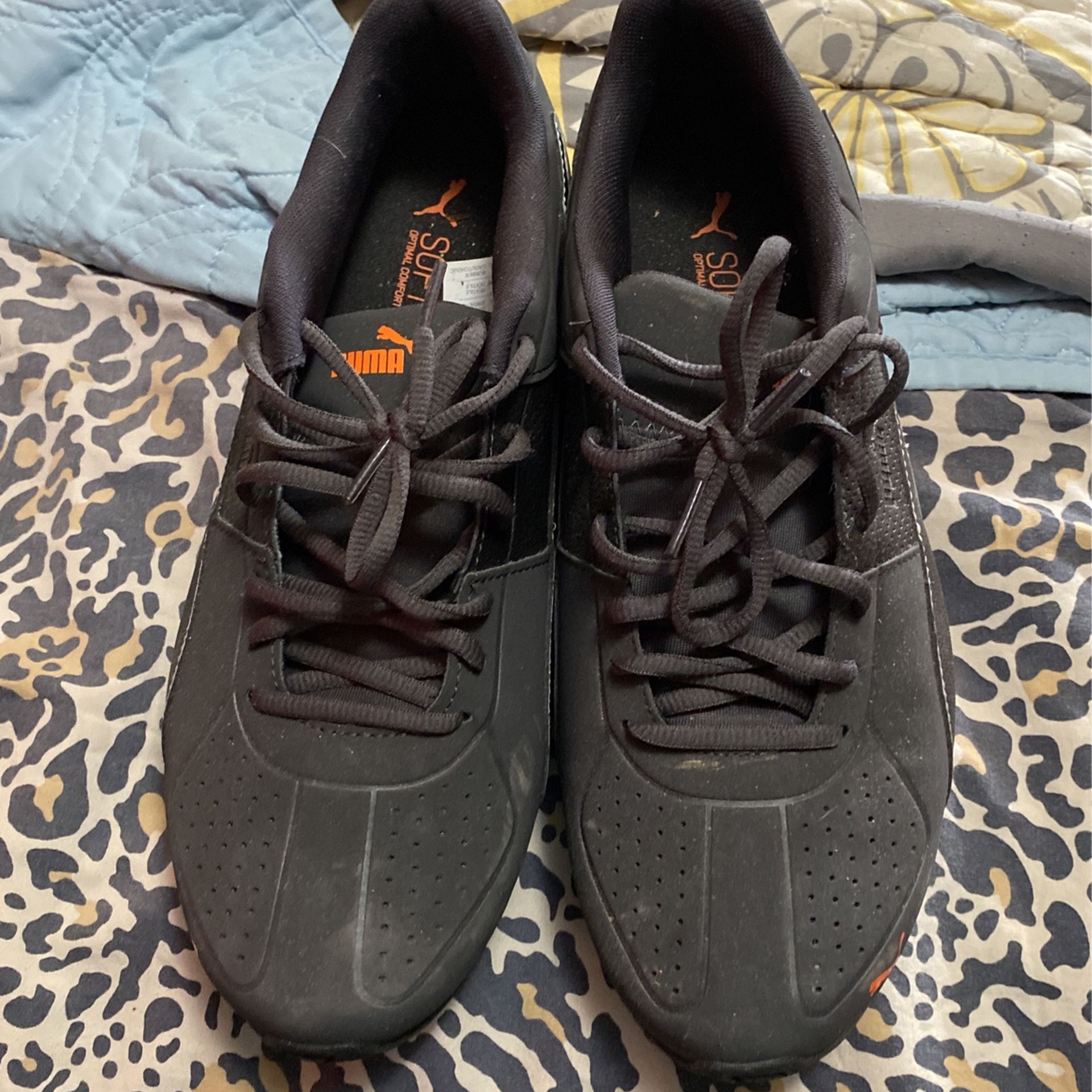 Puma