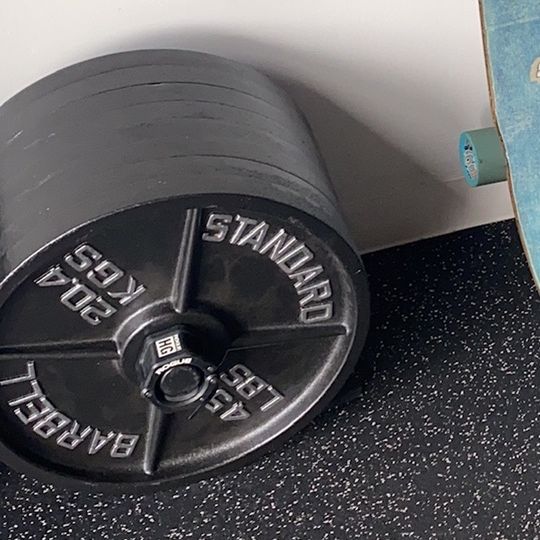 450Lb (10x45LB) P (20.4kg) Brand New Standard Plates from Rogue Fitness