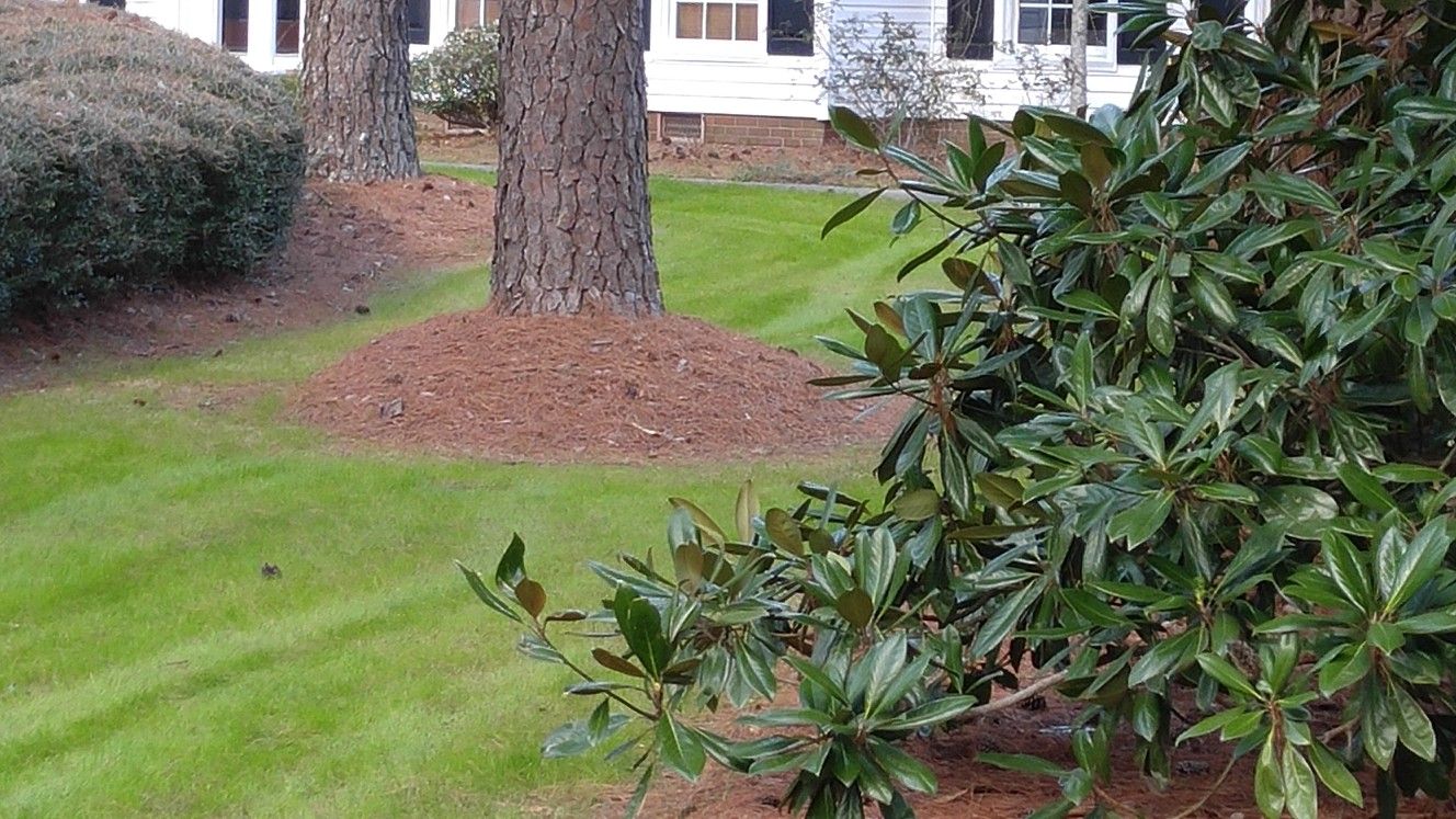 Lawn And Garden Materials