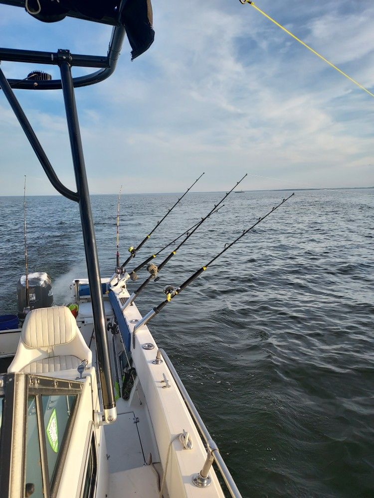 1982 Seaox 200C