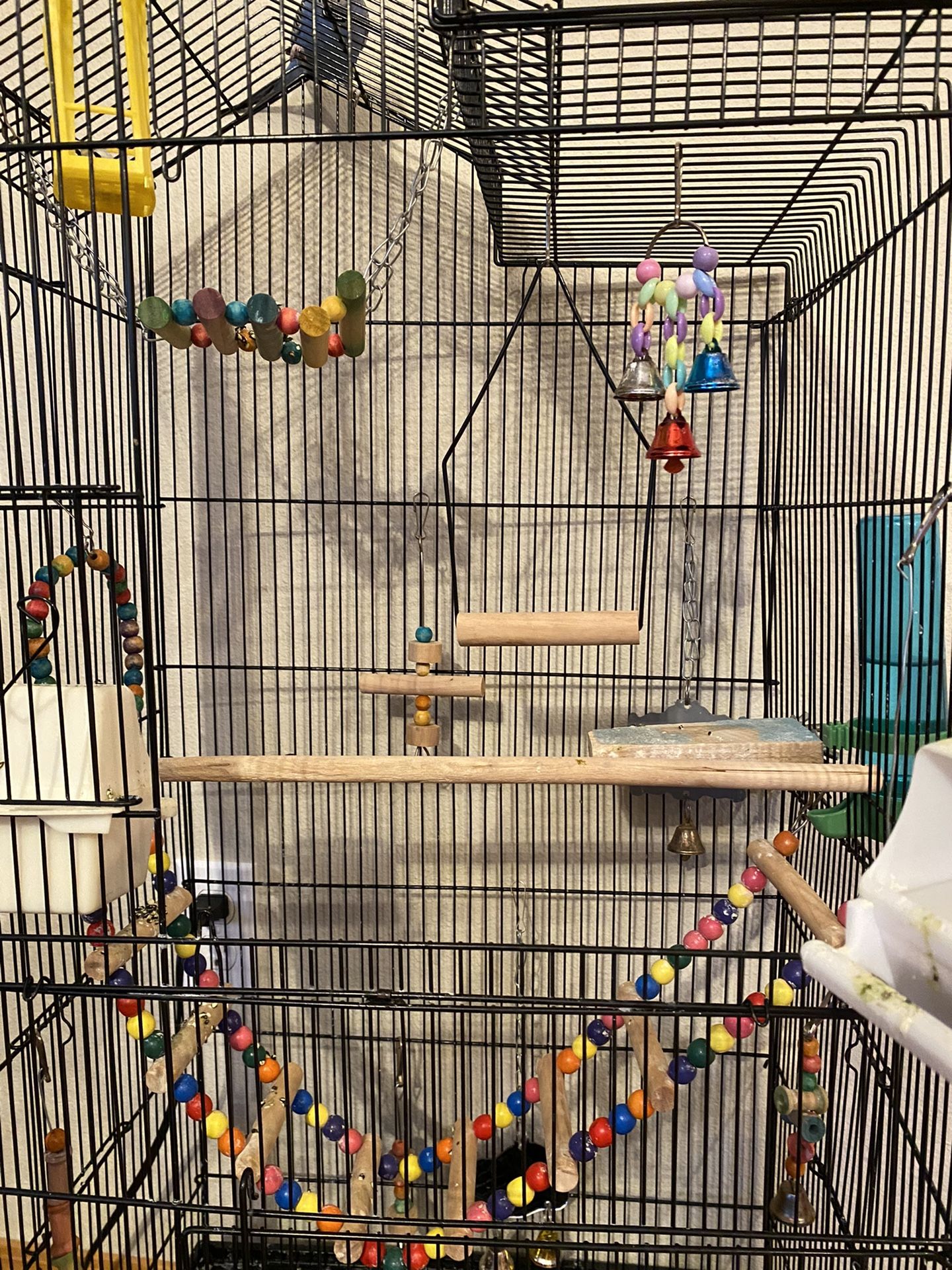 Bird Cage