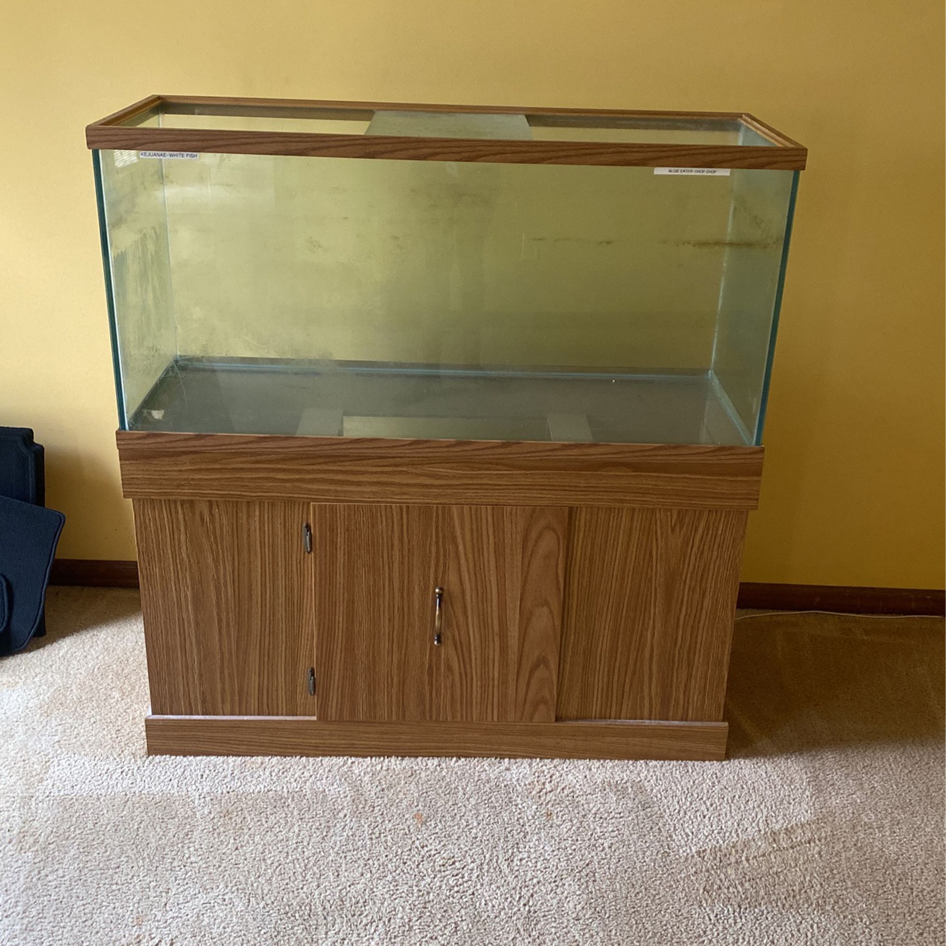 BIG fish Tank And Stand 