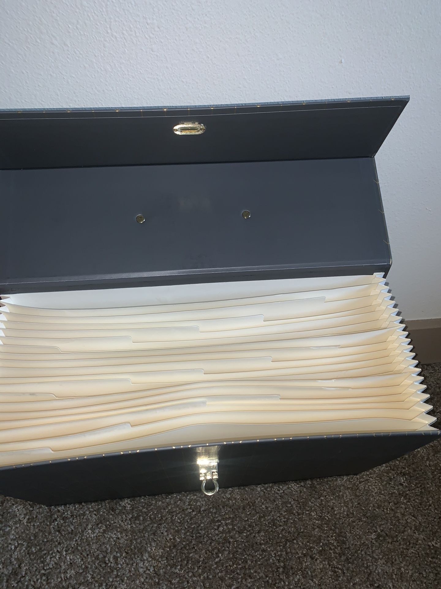 Accordion File