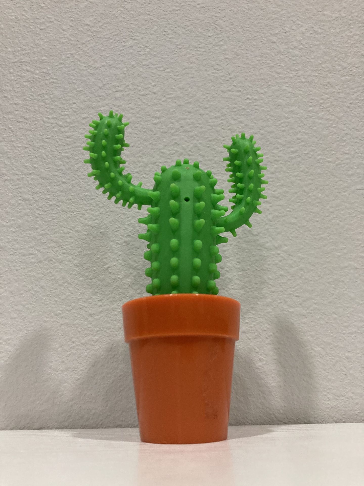 A Cactus Pen With A Normal Pen
