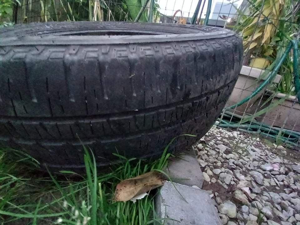 Tires Read My Description Perfect Tires 150 If U Buy All