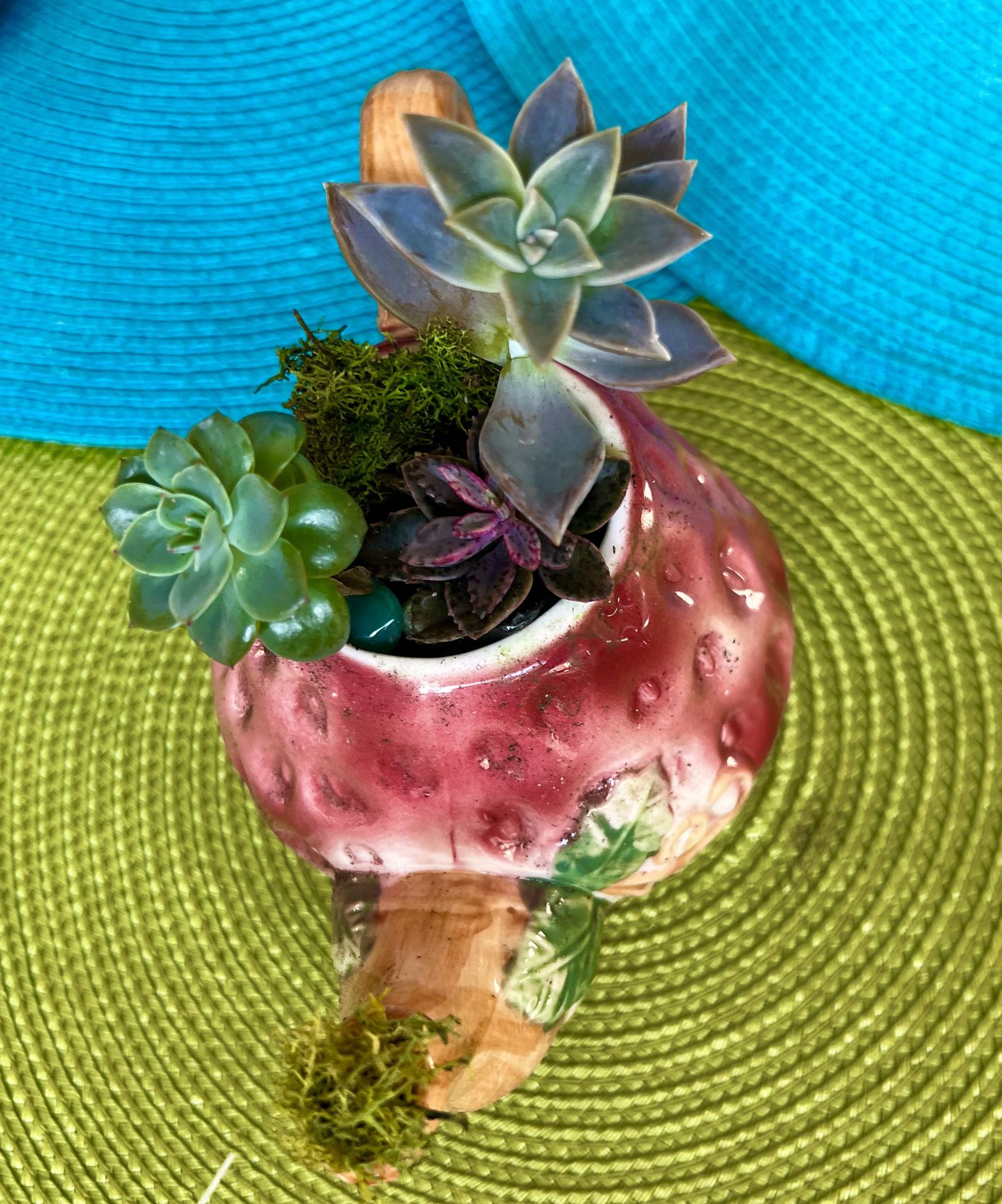  Beautiful vintage strawberry tea kettle filled with Live succulents stones and moss