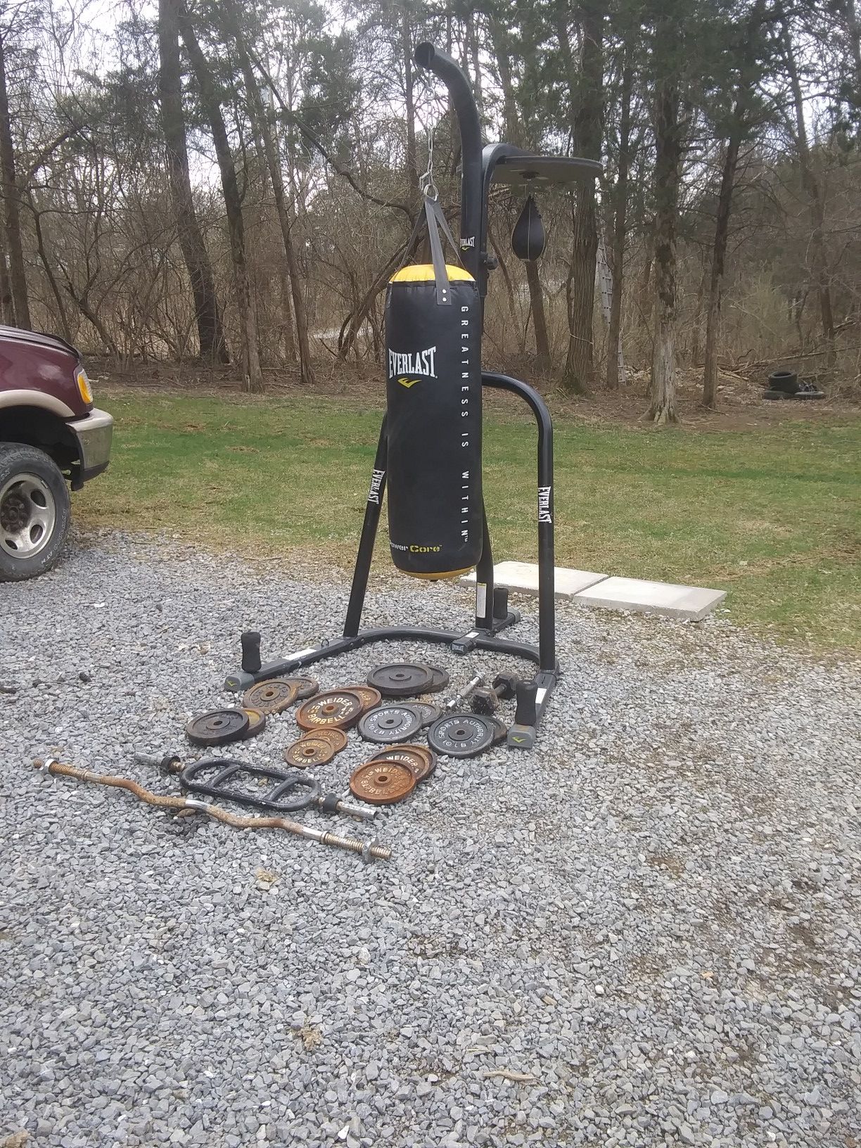 Everlast heavy bag and speed bag And double stand
