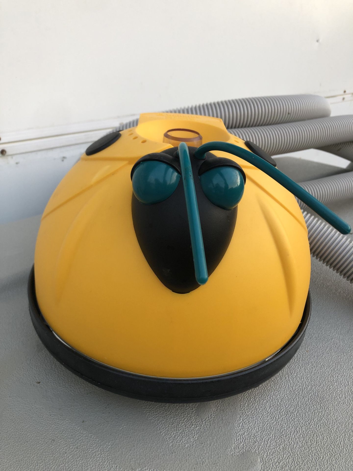 Hayward ladybug 500y vacuum