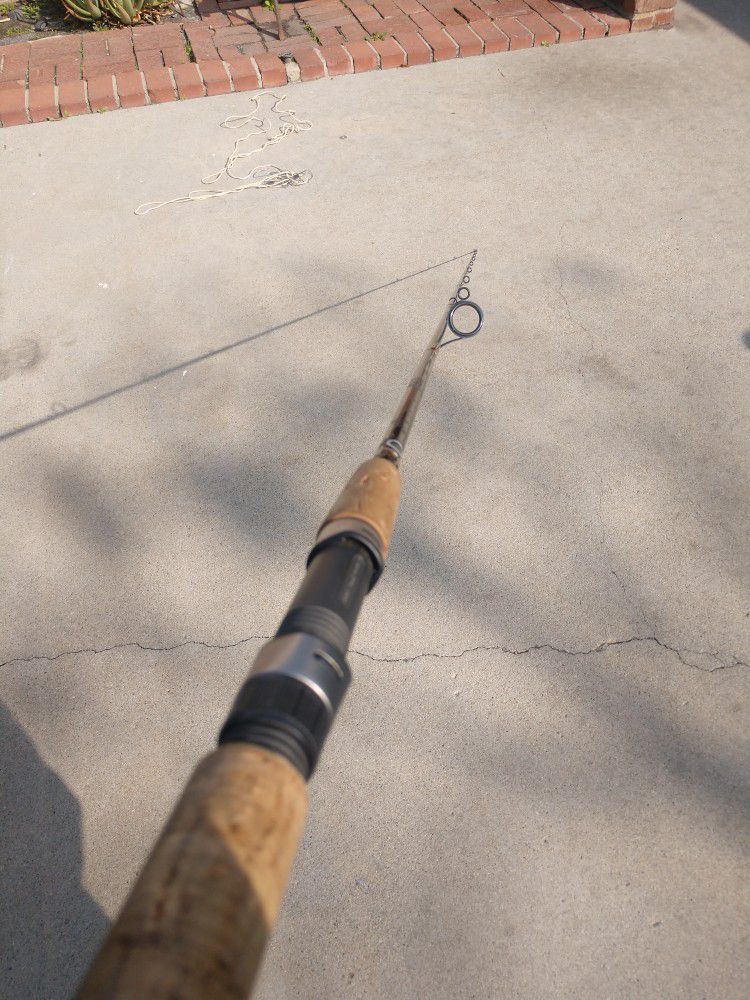Shimano Clarus Fishing Pole