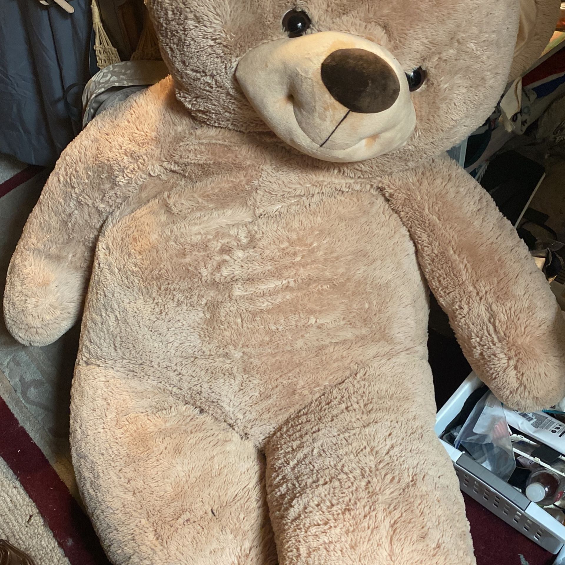 Giant Teddy Bear!!!! New! Paid Over 200! 75 Is What I’m Asking But I Will Take Reasonable Offers