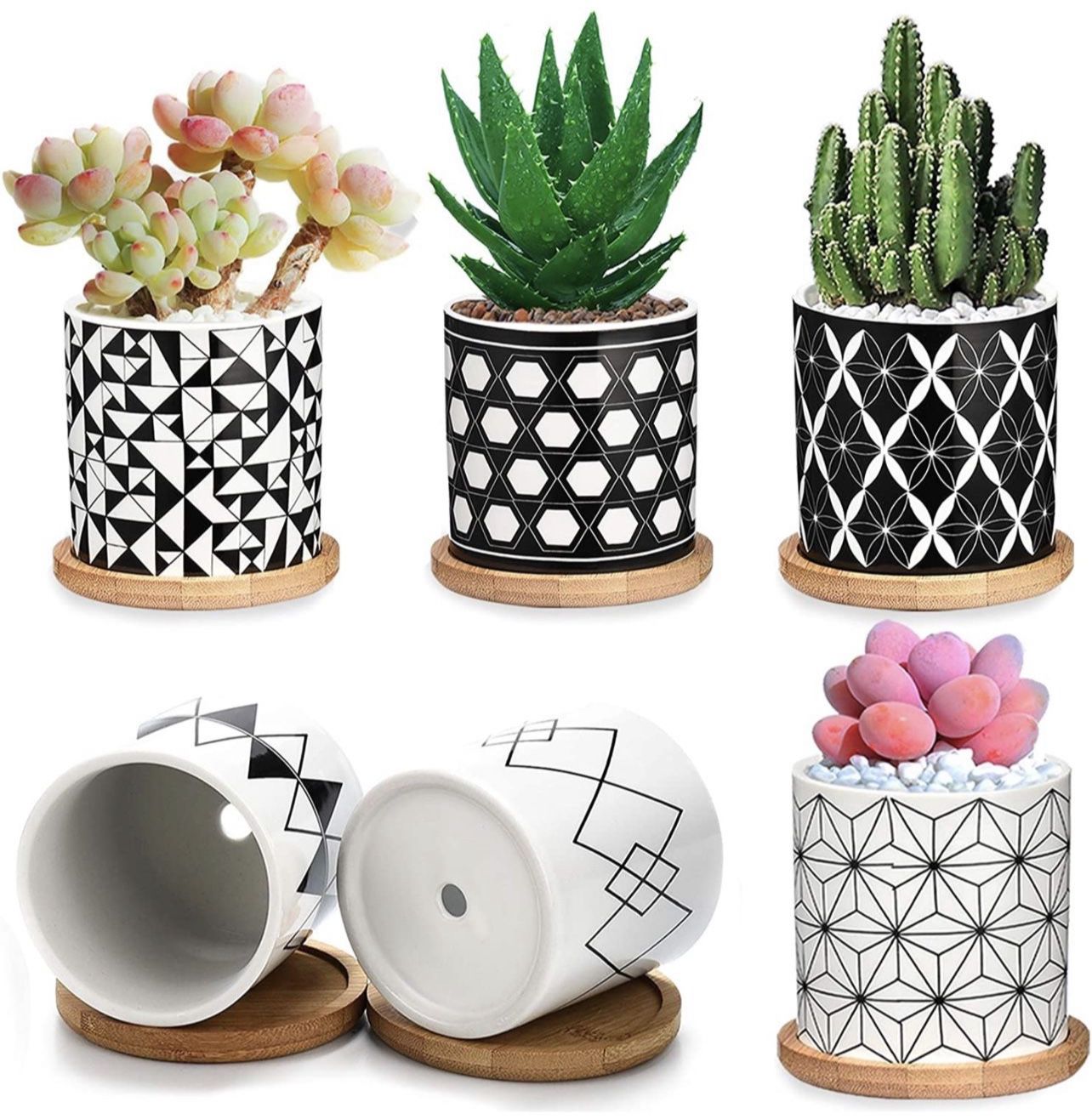Succulent Pots 6 Pack,3 Inch Ceramic Planter with Drainage and Bamboo Tray, Geometric Patterns Small Plant Pots Decor for Home and Office - Plants NOT