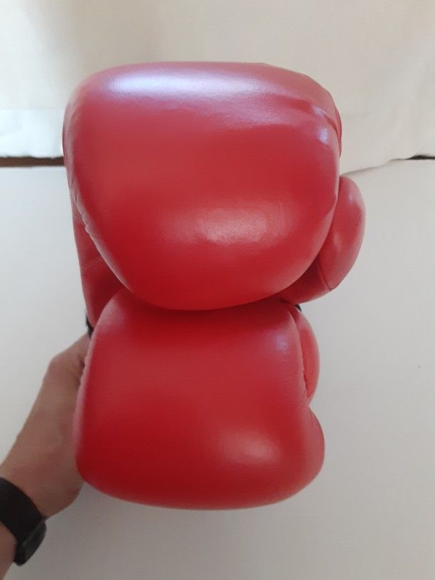 12 oz Ring Side Boxing Gloves