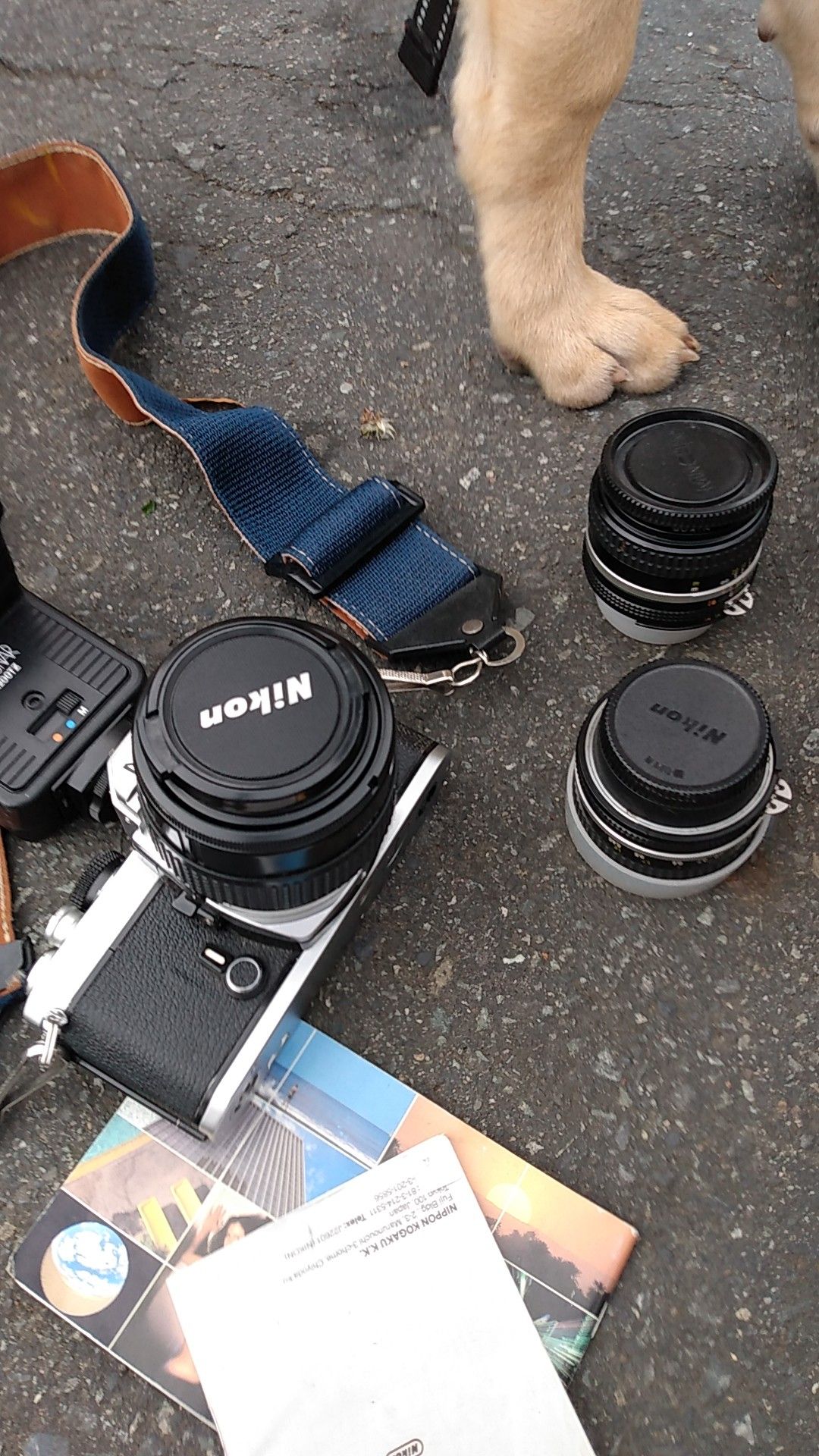 Nikon camera and three lenses