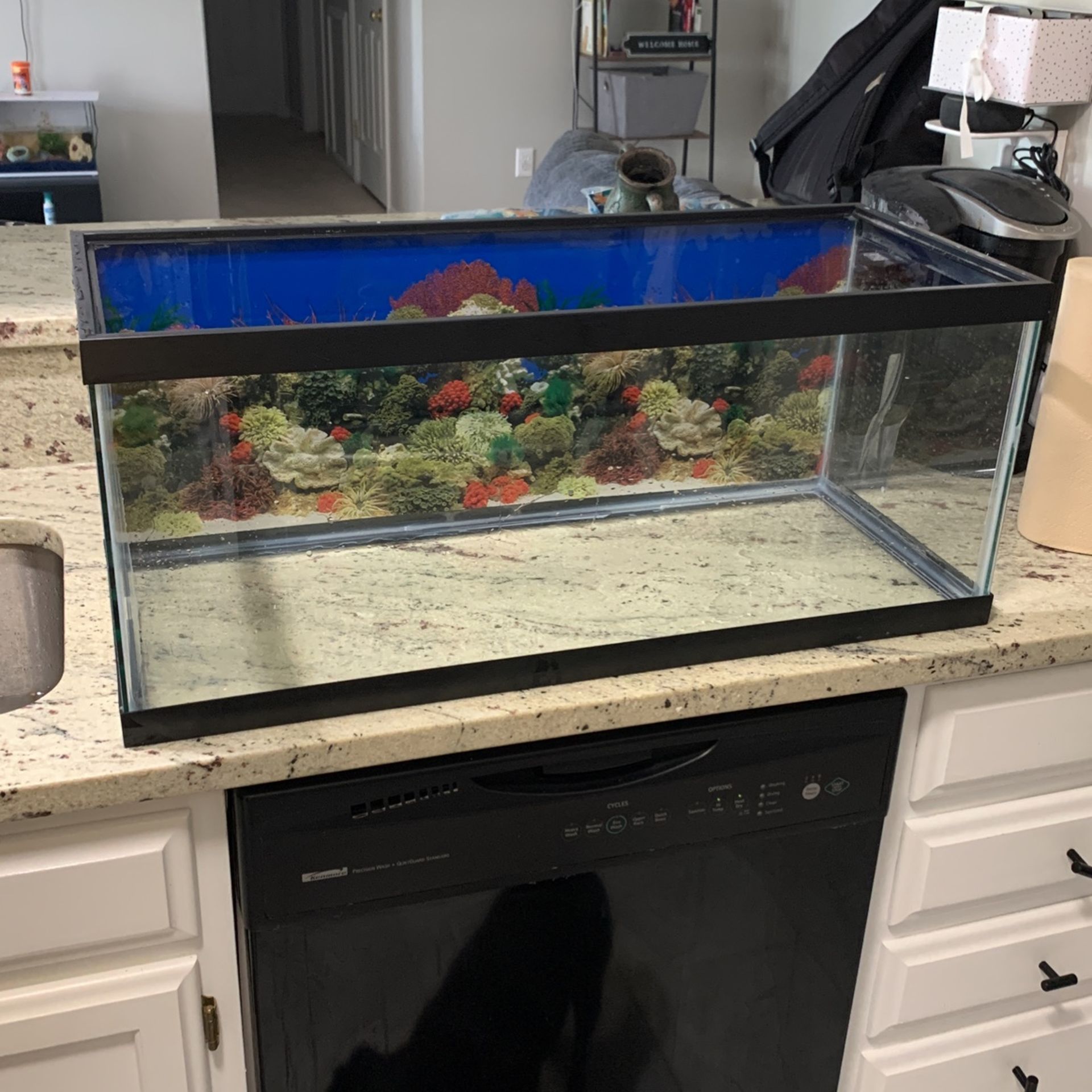 Used Fish Tank