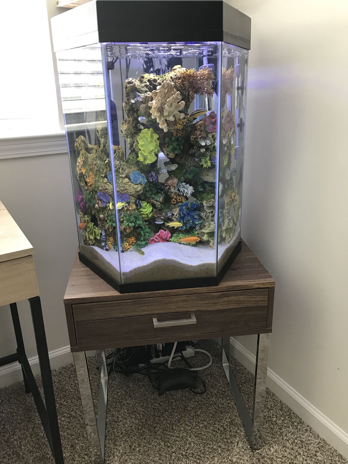 Topfin 20 Gallon Hexagon Aquarium with stand