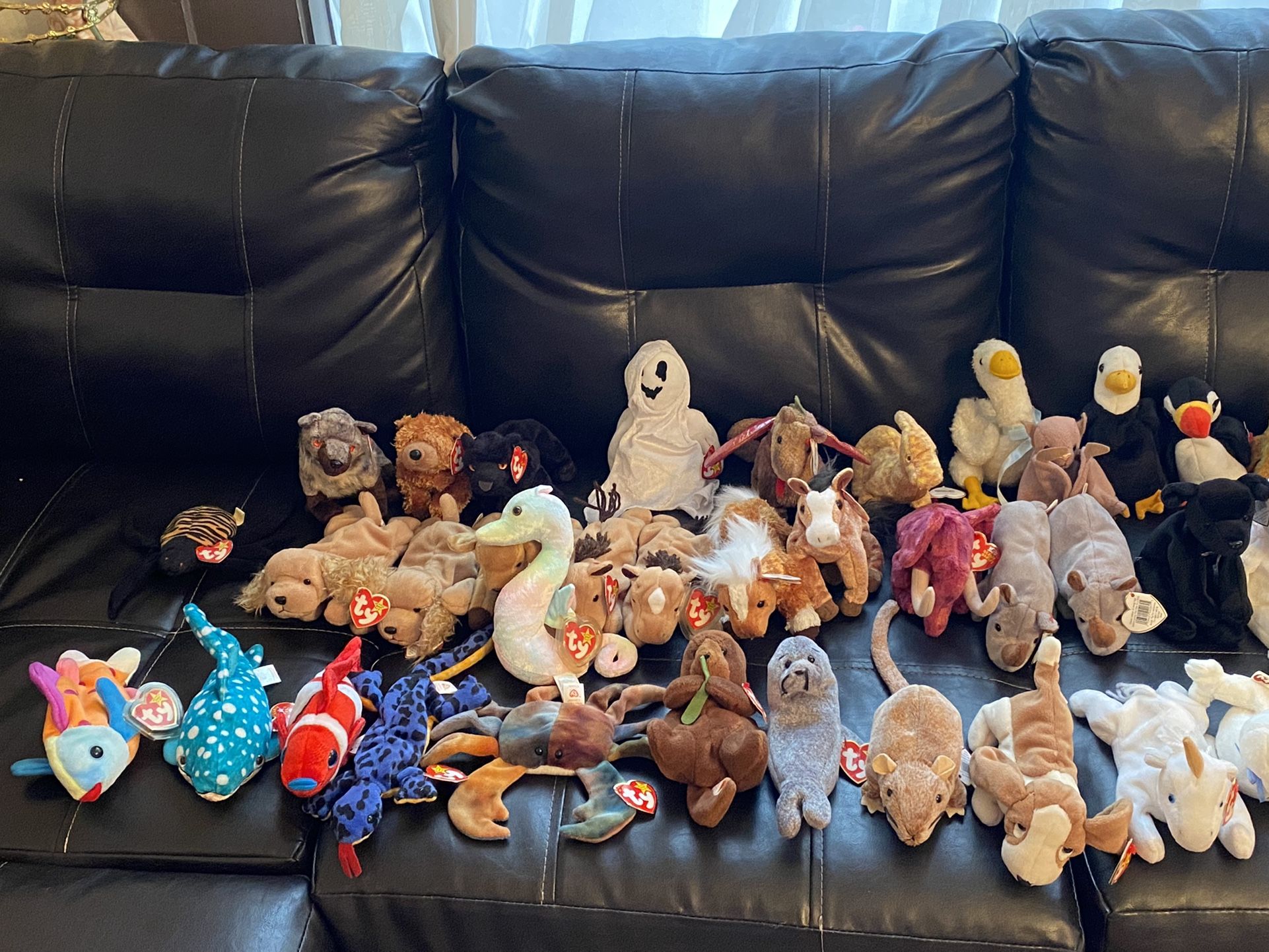 Beanie Baby collection