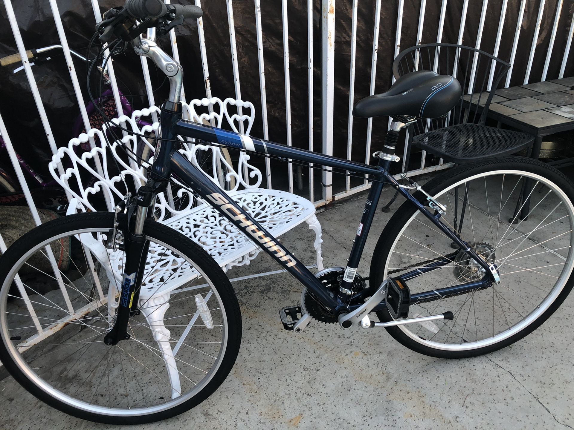 tricycle for handicapped adults