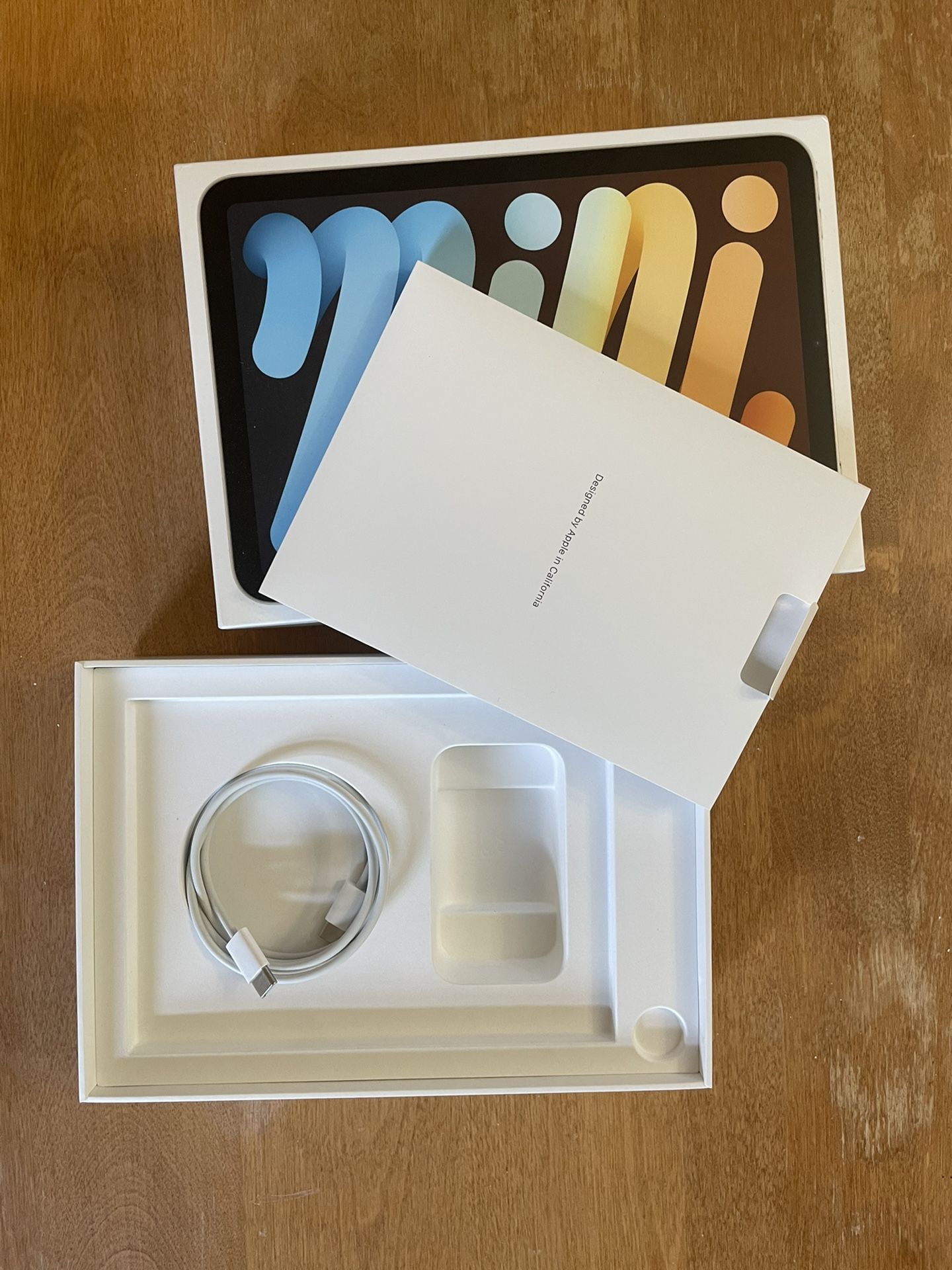 iPad Mini 6th Gen - MINT