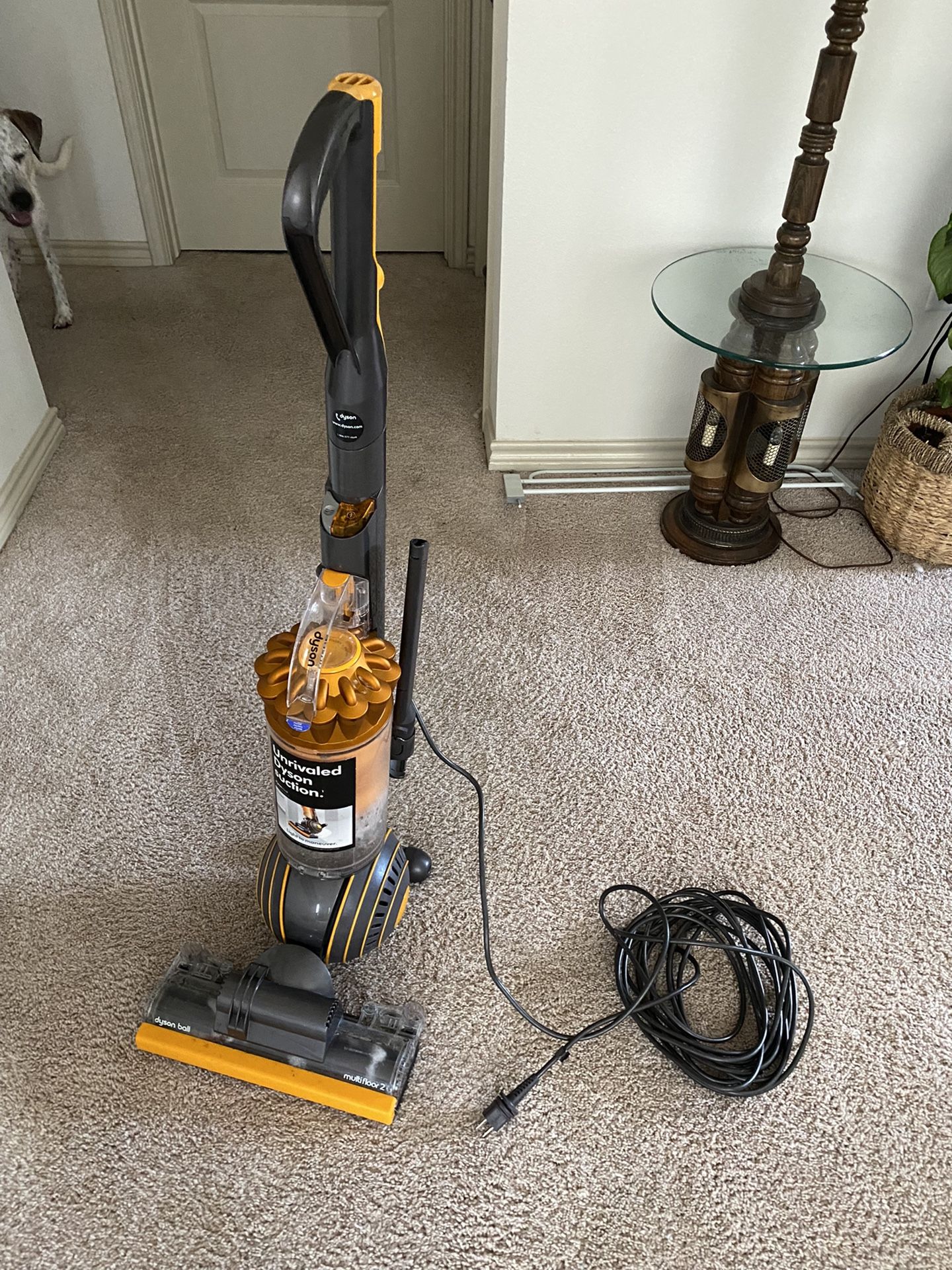 Dyson Multifloor Vacuum