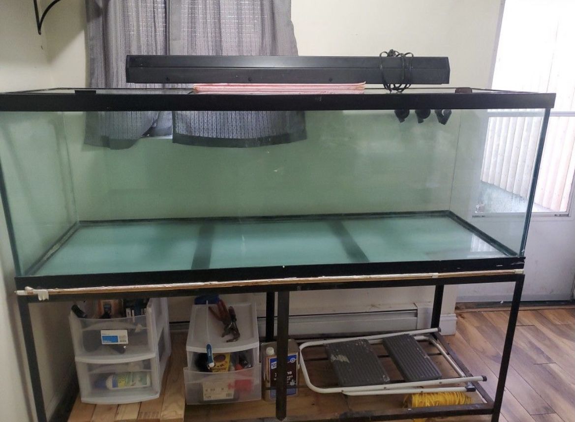 180 gallon fish tank 
