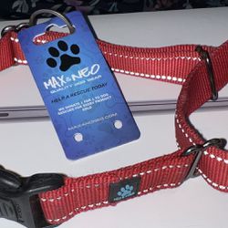 Max And Neo Dog Collar Thumbnail