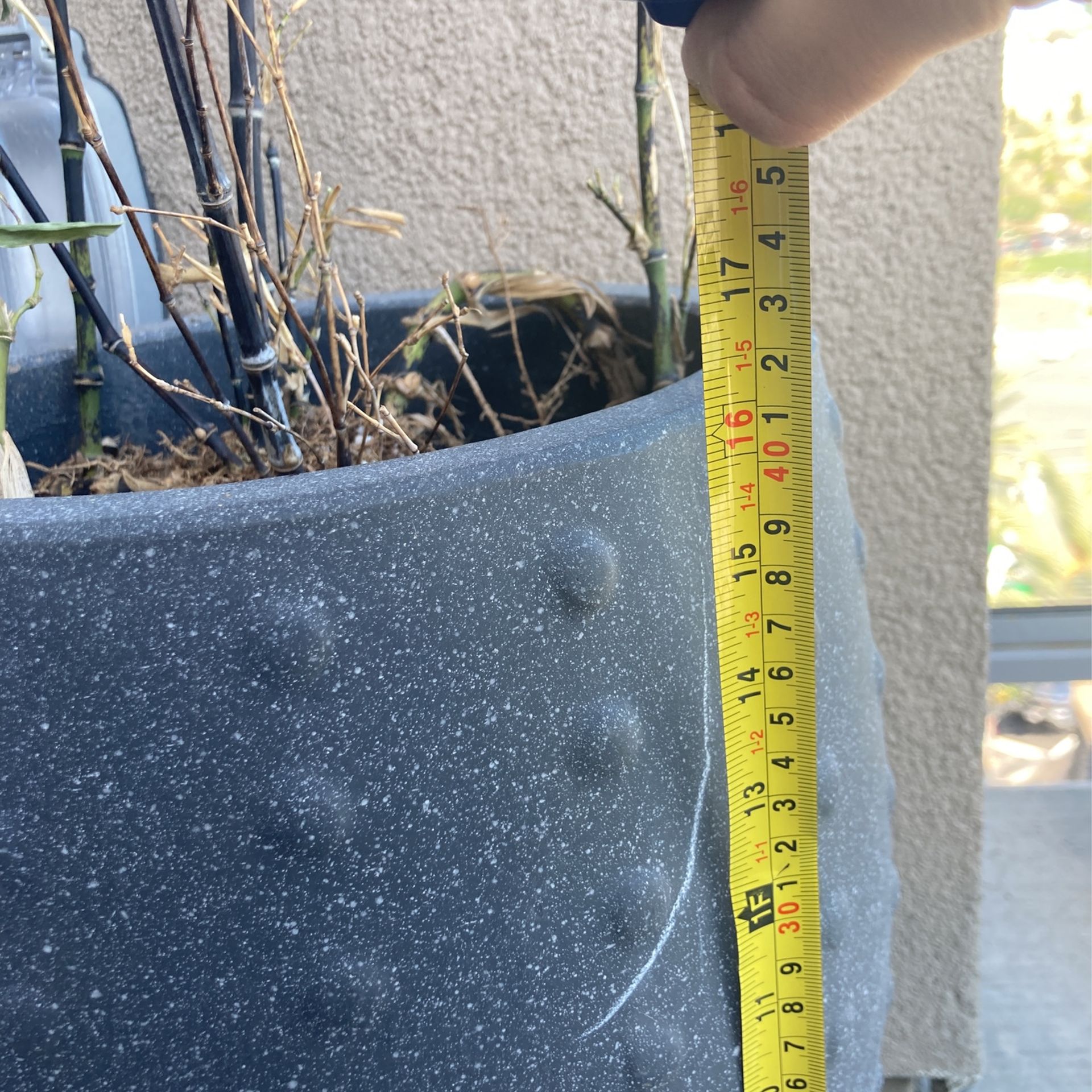 Large Plant Pot With Plant 🌱