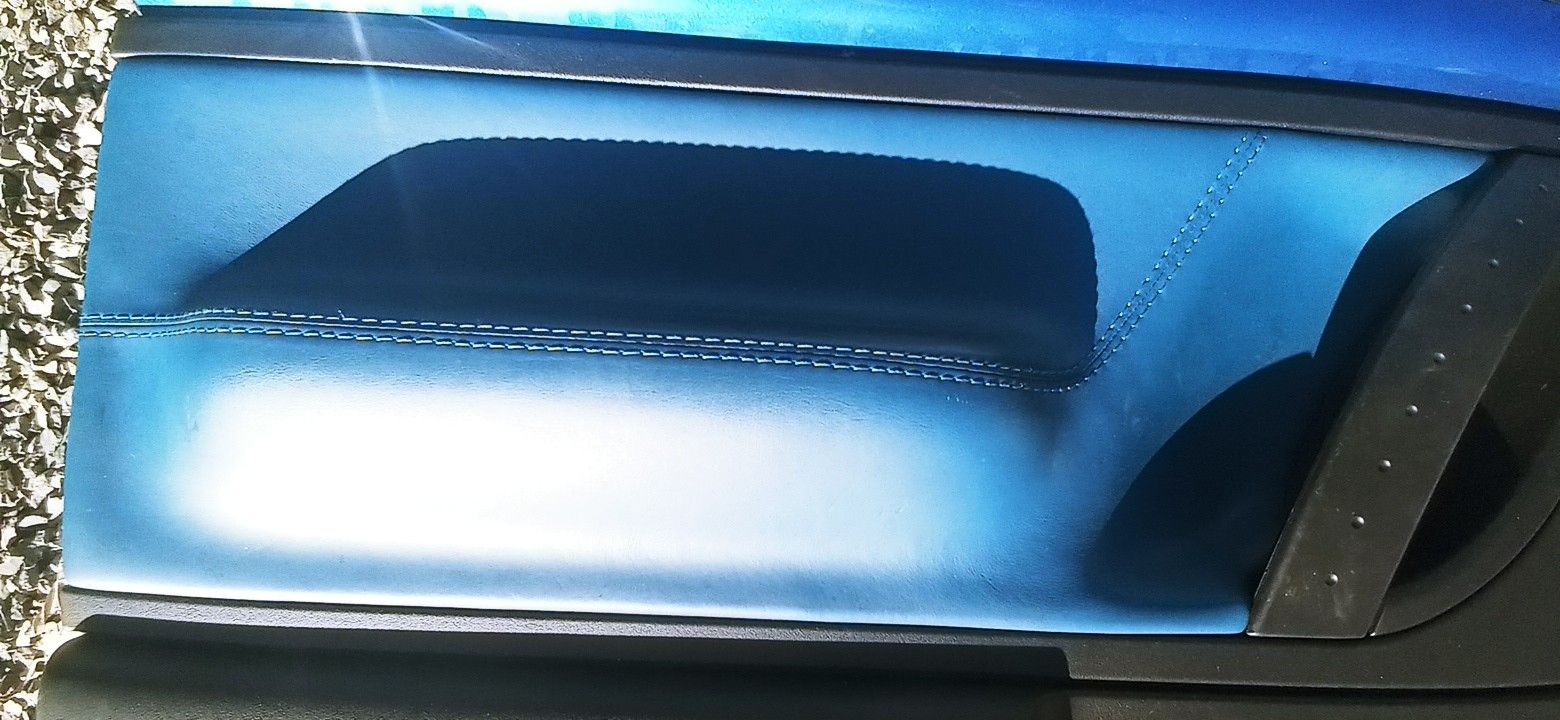 Blue New Beetle Bug Door Panels Black Trim 98 99 00 01 02 03 04 05