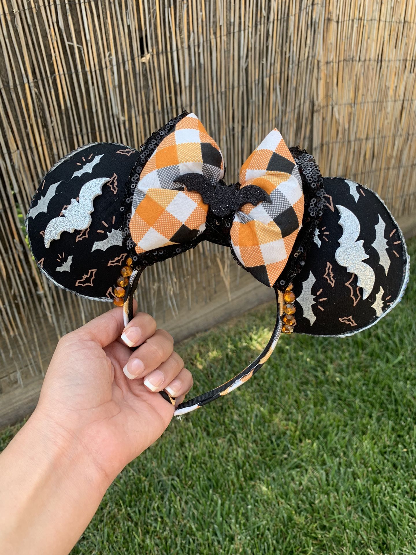 Inspired Mickey Ears