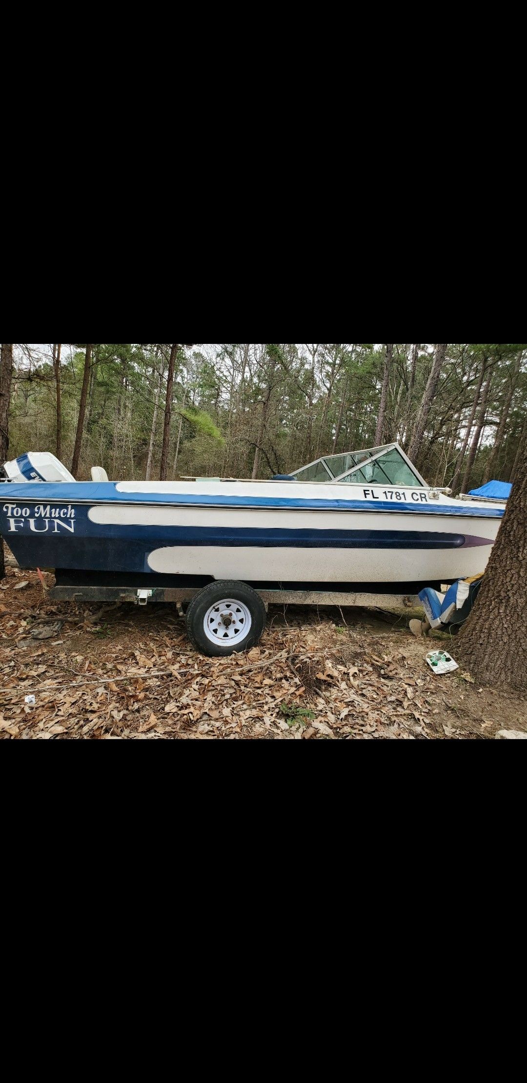 Evinrude motor and boat