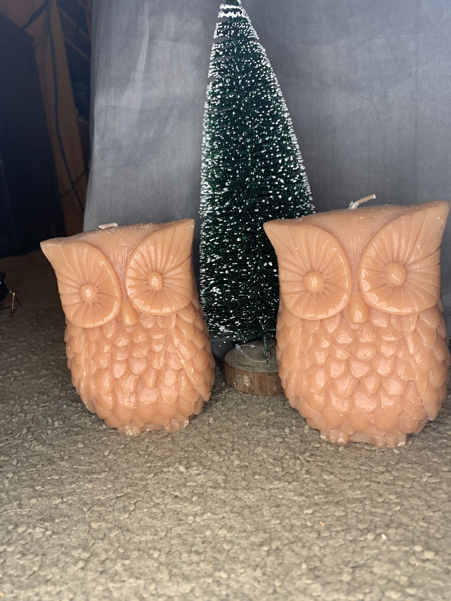 Owl candles