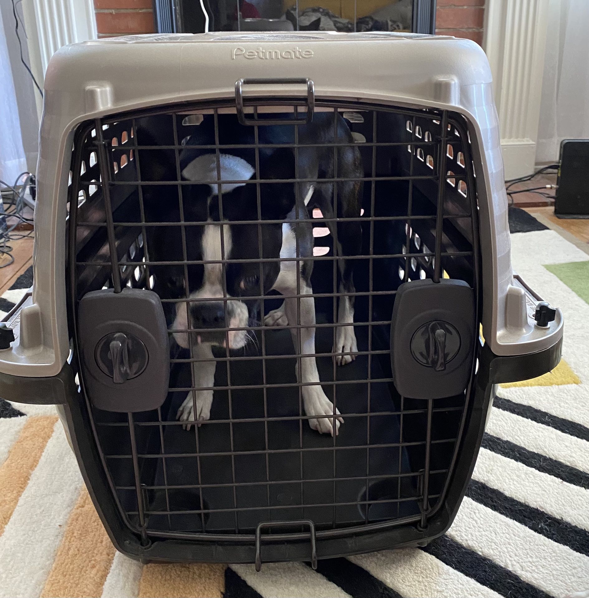 Kennel For Small Dogs
