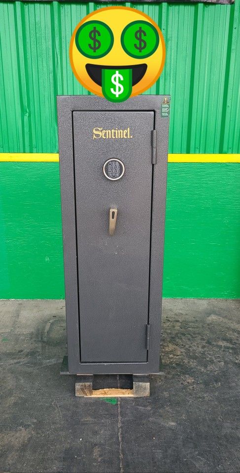 New 12 Gun Safe
