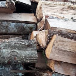 Firewood Thumbnail