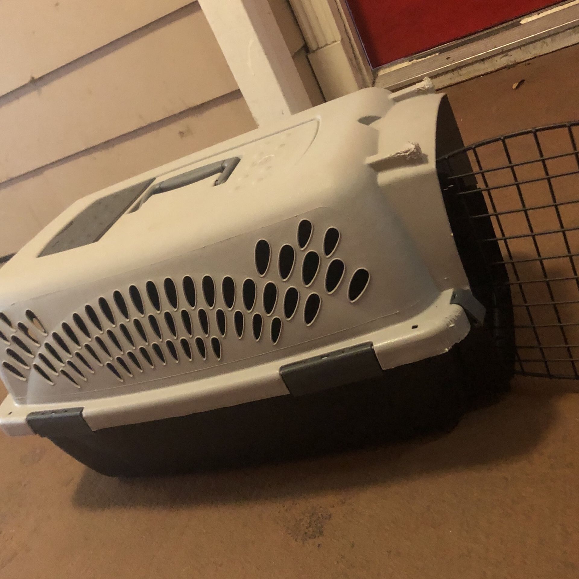 Dog carry On Crate
