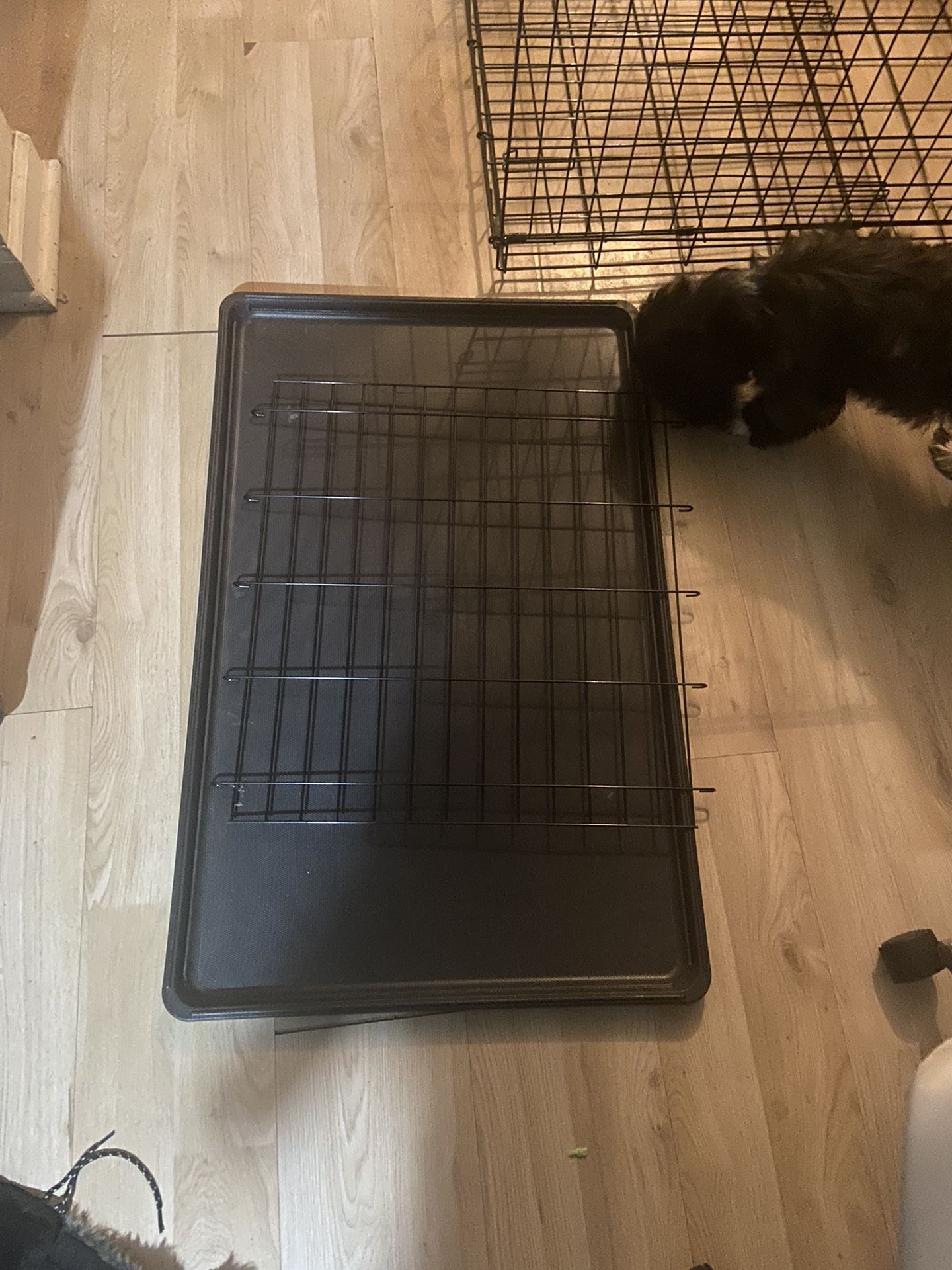 Dog Crate 36” New 36x23x25 With Divider