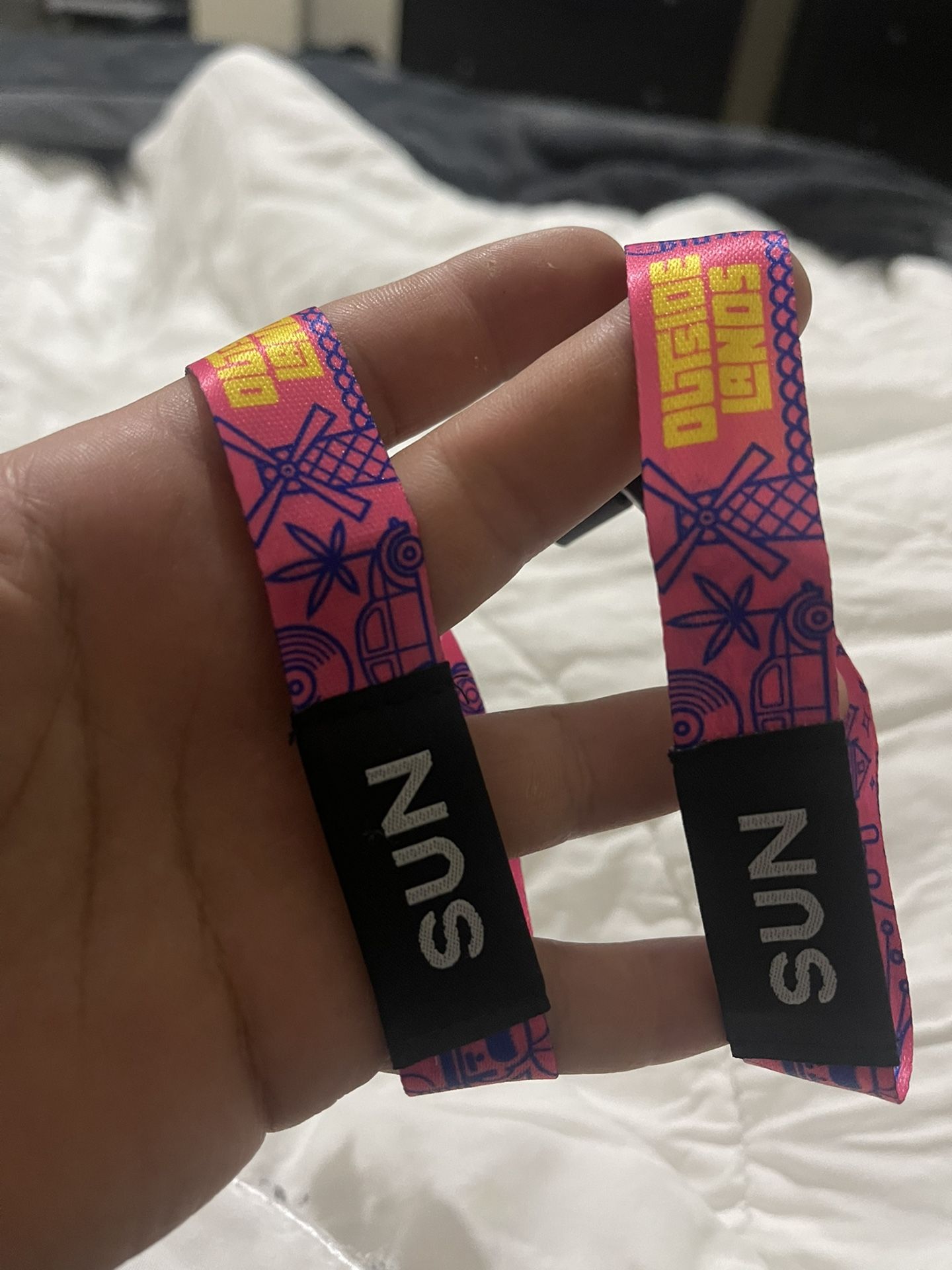 2 Sunday Tickets To Outsidelands
