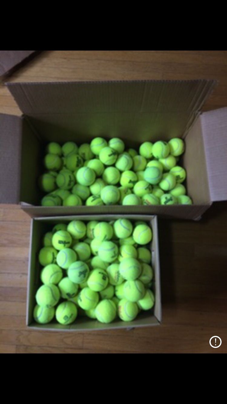 Used Tennis Balls 50 For 25 for Sale in Seattle, WA OfferUp